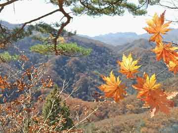 遼寧隊(duì)全新名單重磅出爐，克疣林價(jià)格走勢(shì)揭秘與球員動(dòng)態(tài)更新！