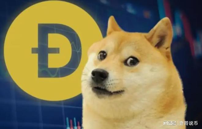 狗狗幣今日行情概覽，最新價格走勢分析